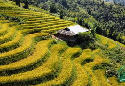 MU CANG CHAI