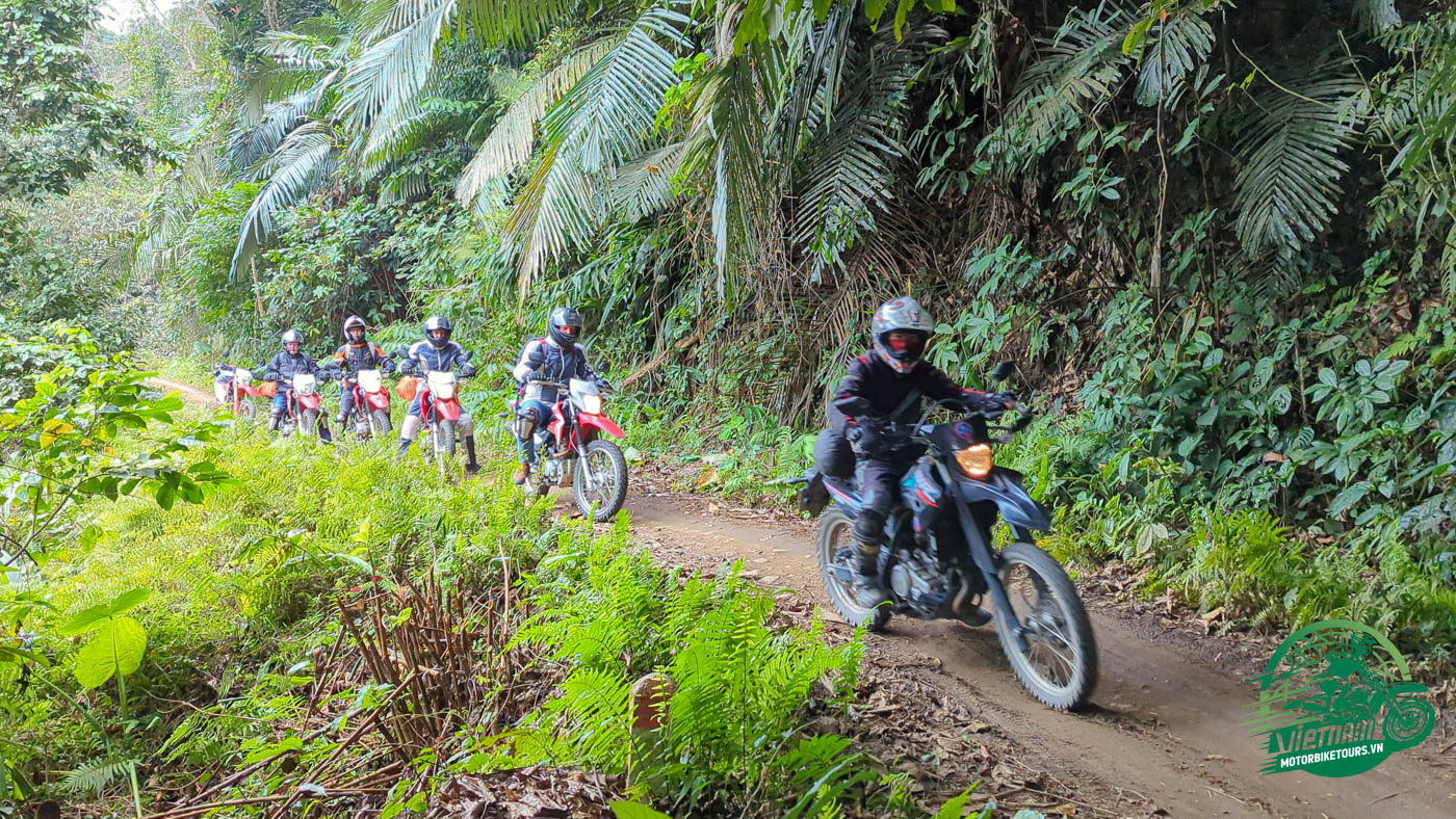 Embark on a spellbinding 7-day motorcycle journey around Ha Noi