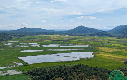 Da Lat to Hoi An 6-Day Motorcycle Tour: A Journey Through Vietnam
