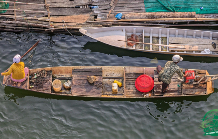 Vietnam Motorbike Tour: 6-Day Mekong Delta Loop