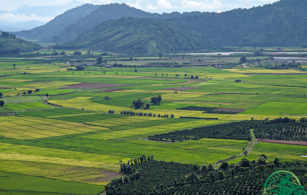 Da Lat to Nha Trang 3-Day Motorcycle Tour: Central Highlands Adventure