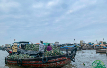The Grand Saigon Motorcycle Loop Tour: A 10-Day Epic Adventure