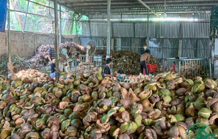 Da Lat to Sai Gon 6-Day Motorbike Tour Via Mekong Delta