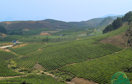 Ha Noi Motorbike Tour: 3-Day Epic Loop Adventure