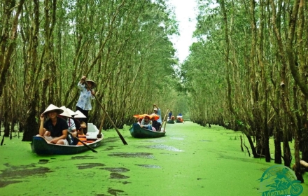 Vietnam Motorbike Tour: 6-Day Mekong Delta Loop